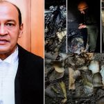 जस्टिस यशवंत वर्मा की मुश्किलें बढ़ीं, जांच समिति ने तीनों आरोप माने साबित!