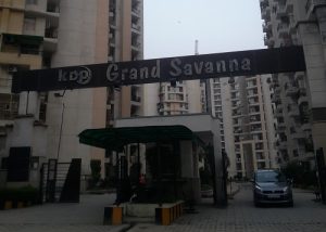 KDP