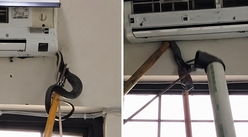 AC