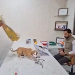 अनोखा विरोध: अधिकारी के सामने छोड़े आवारा कुत्ते!!