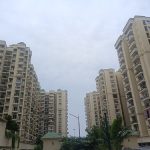 निलाया ग्रीन्स में पहला AOA चुनाव, 20 उम्मीदवारों के बीच सीधा मुकाबला