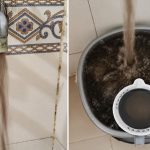 गुलमोहर एन्क्लेव में काला पानी, नगर निगम की जांच पर उठे सवाल