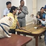 गुलमोहर एन्क्लेव में नगर निगम का कैंप, सिर्फ छह पालतू कुत्तों का पंजीकरण